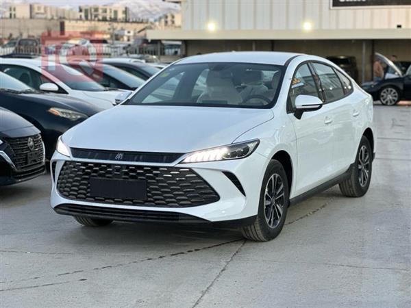 بي واي دي Qin Plus 2025 للبيع في العراق - السليمانية